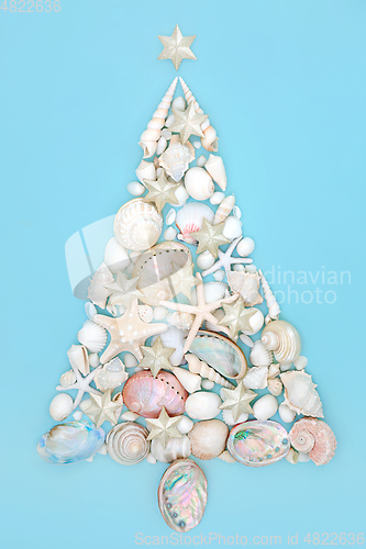 Image of Christmas Tree Design with Seashells and Stars 