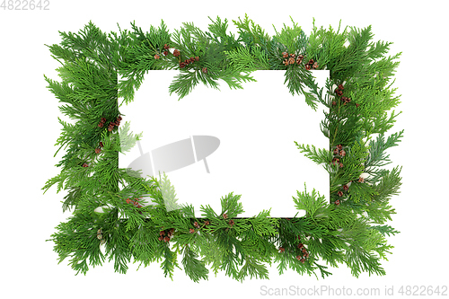 Image of Cedar Cypress Leaf Background Border 