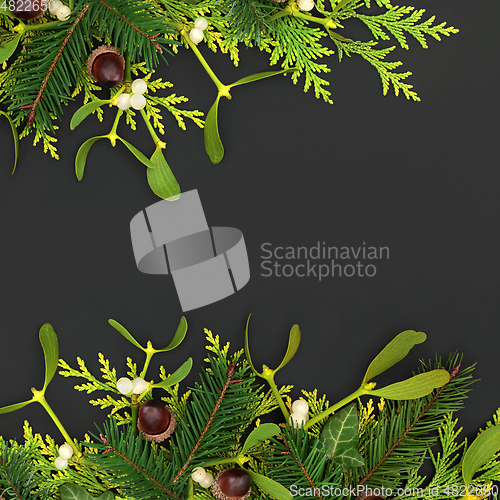 Image of  Pagan Winter Greenery Background for the Winter Solstice