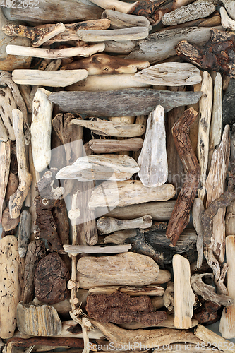 Image of Natural Driftwood Abstract Art Design