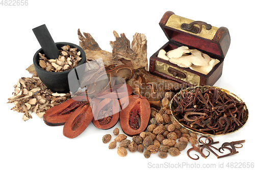 Image of Traditional Chinese Apothecary Herbs and Spice