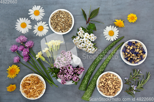 Image of Flowers and Herbs Used in Natural Herbal Medicine