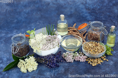 Image of Calming Herbs Used in Natural Herbal Medicine