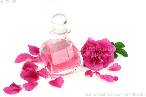 Image of Luxury Rose Flower Perfume and Petals