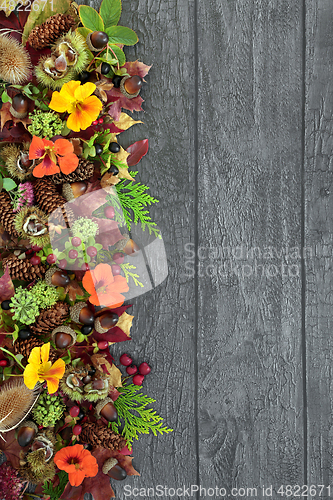 Image of Abstract Border for Autumn Harvest Festival 