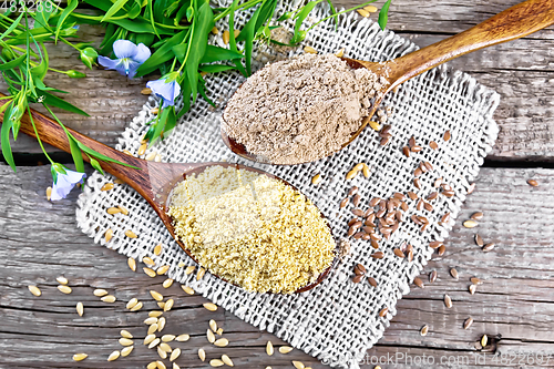 Image of Bran and flour flaxseed in two spoons on board top