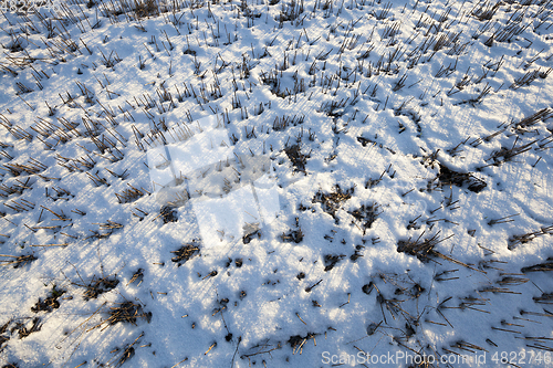 Image of Snow drifts in winter