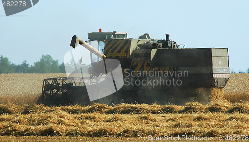 Image of Harvest