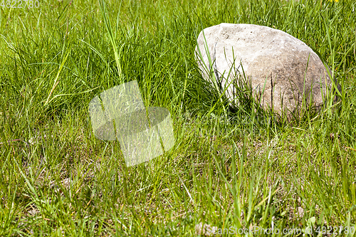 Image of green and cobblestone