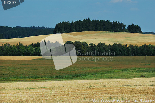 Image of Field