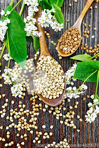 Image of Buckwheat green and brown in spoons on board top