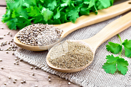 Image of Coriander ground and seeds in two spoons on burlap