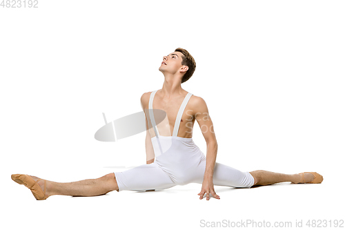 Image of handsome ballet artist