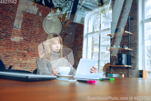 Image of Beautiful caucasian business lady working in office with laptop