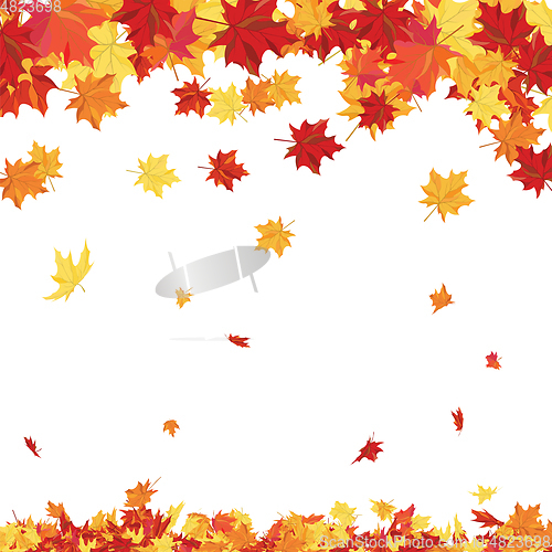 Image of Autumn 