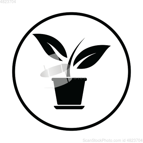 Image of Plant in flower pot icon