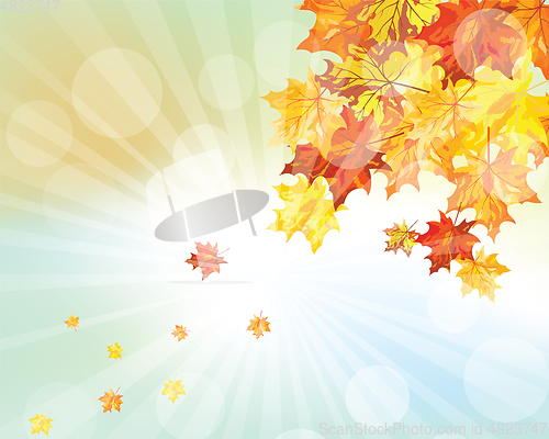 Image of Autumn  Frame