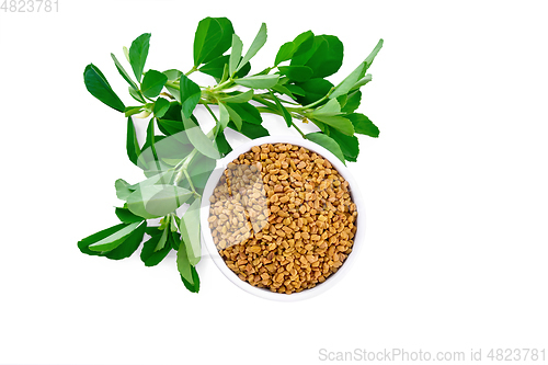 Image of Fenugreek with green leaves in bowl top