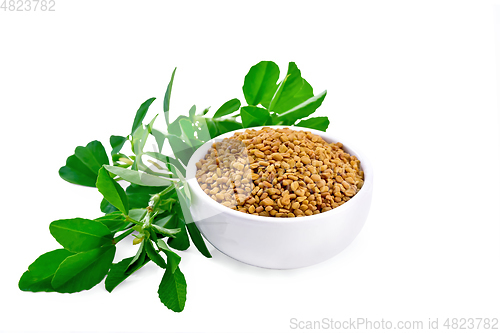 Image of Fenugreek with green leaves in bowl