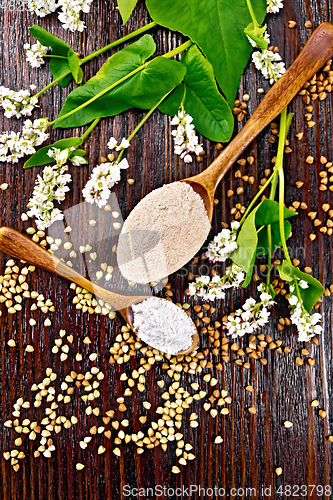 Image of Flour buckwheat brown and green in spoons on dark board top