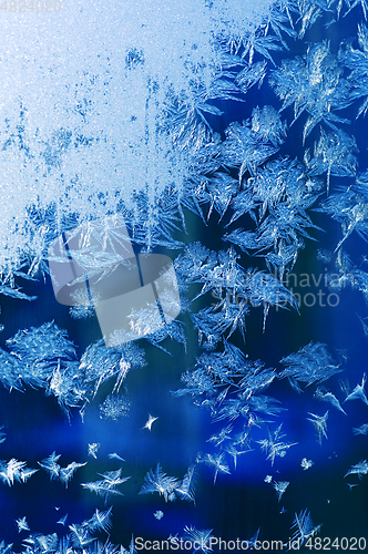 Image of Openwork Snowflakes on Window