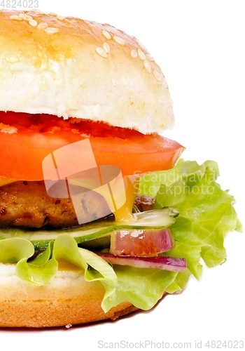 Image of Tasty Homemade Hamburger 