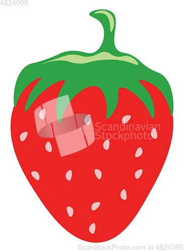 Image of A strawberry vector or color illustration