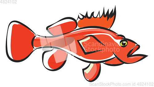 Image of Clipart of orange colored marine fish sea bass vector or color i