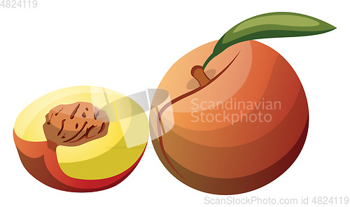 Image of Cartoon of a orange red and yellow peach fruit with green leaf h