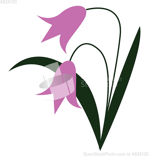 Image of Bell shape pink flowers vector or color illustration