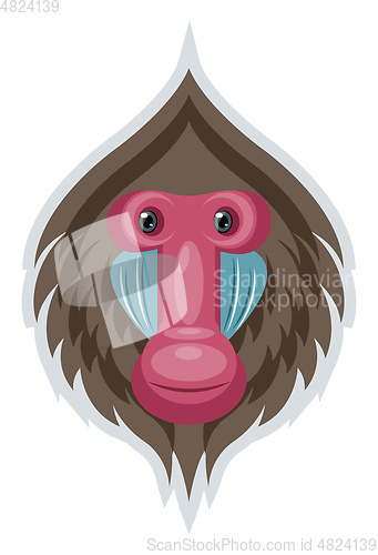 Image of Monkey, vector color illustration.