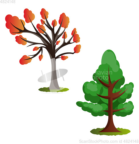 Image of Two autumn tree vector illustration on white background
