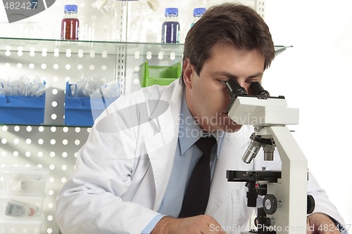 Image of Research under the microscope