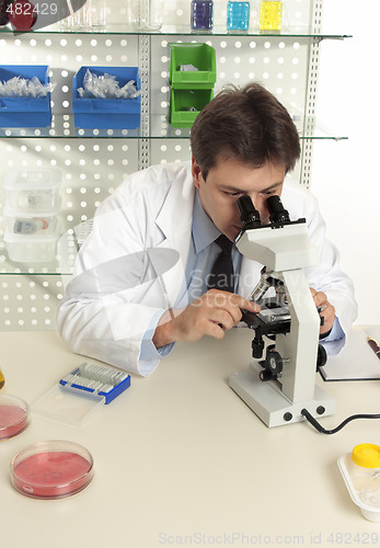 Image of Scientist using microscope in laboratory