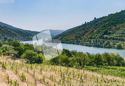 Image of View of Douro Valley, Portugal. 