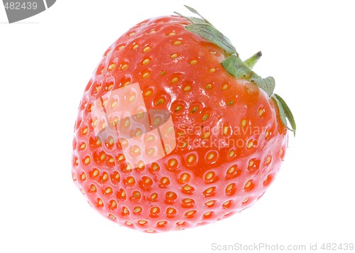 Image of Strawberry