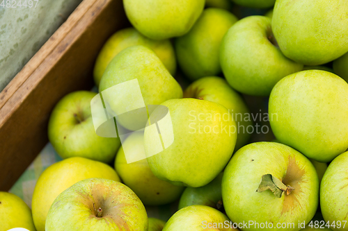 Image of Green Apple 