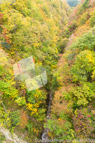 Image of Naruko canyon