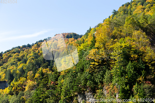 Image of Daikanbo in Japan