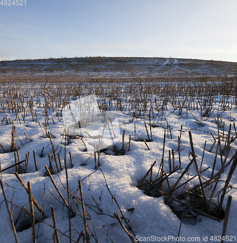 Image of Winter season. Photo