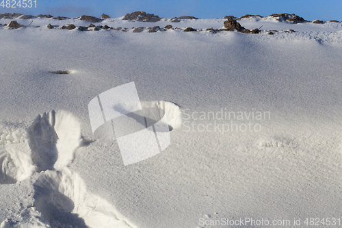 Image of Snow in winter