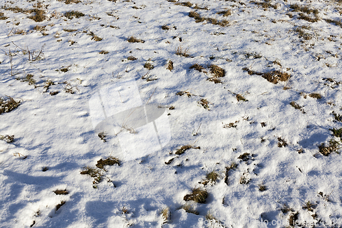 Image of Snow after snowfall