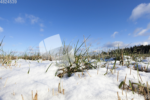 Image of snow photo, close up