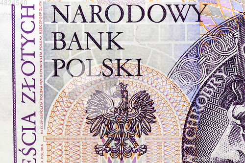 Image of Polish banknotes, close-up