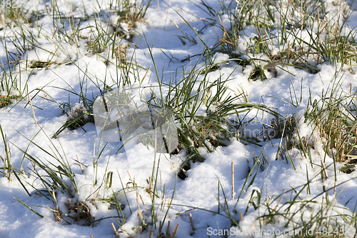 Image of Winter time of the year, photo