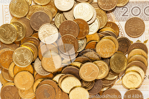 Image of Polish money, close-up