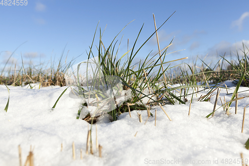 Image of snow photo, close up