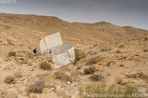 Image of Hiking in israeli stone desert