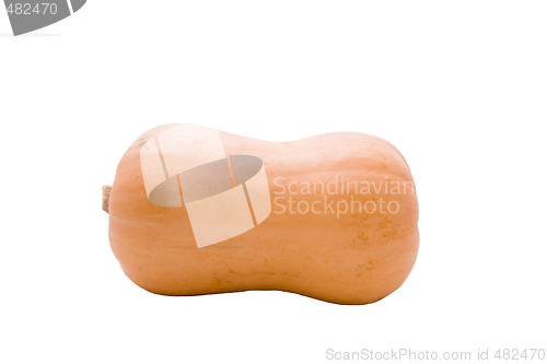 Image of Butternut Pumpkin