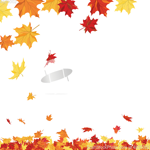 Image of Autumn 